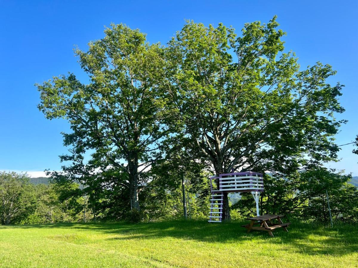 Agriturismo Il Serrino San Marcello Pistoiese Kültér fotó