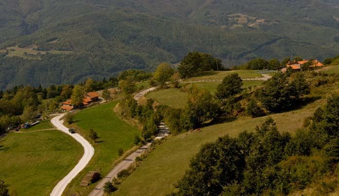 Agriturismo Il Serrino San Marcello Pistoiese Kültér fotó